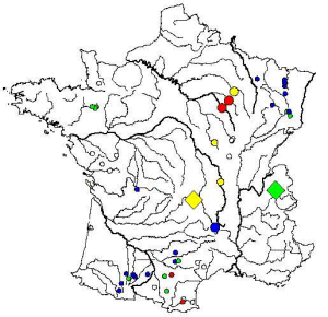 Gandalf du côté du champenois ?...